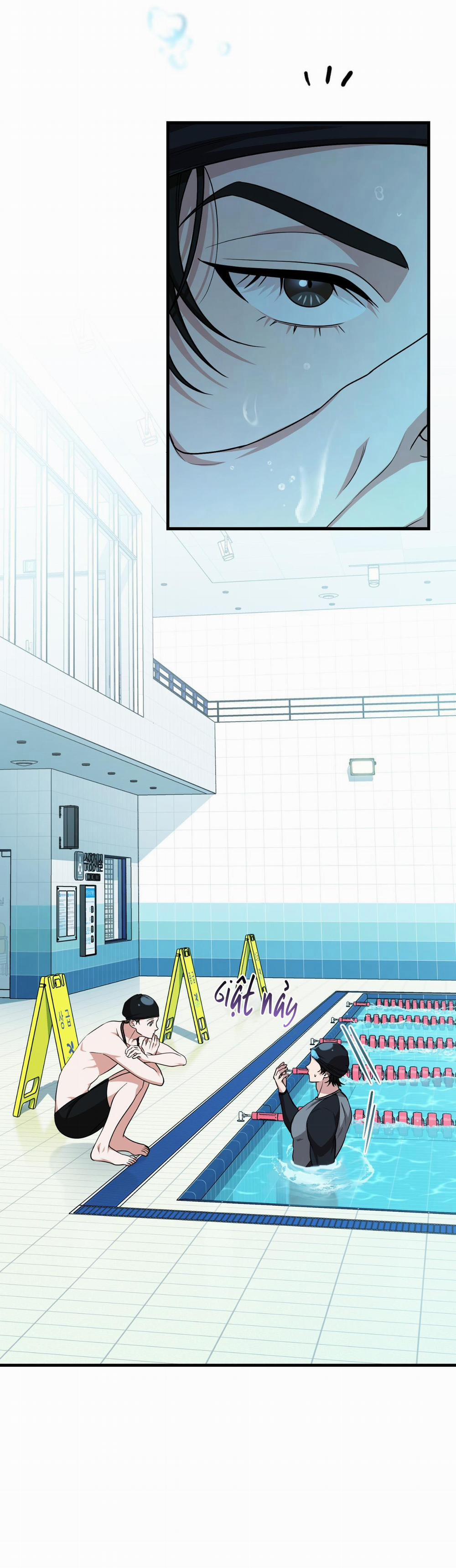 Guild Member 47 trang 31