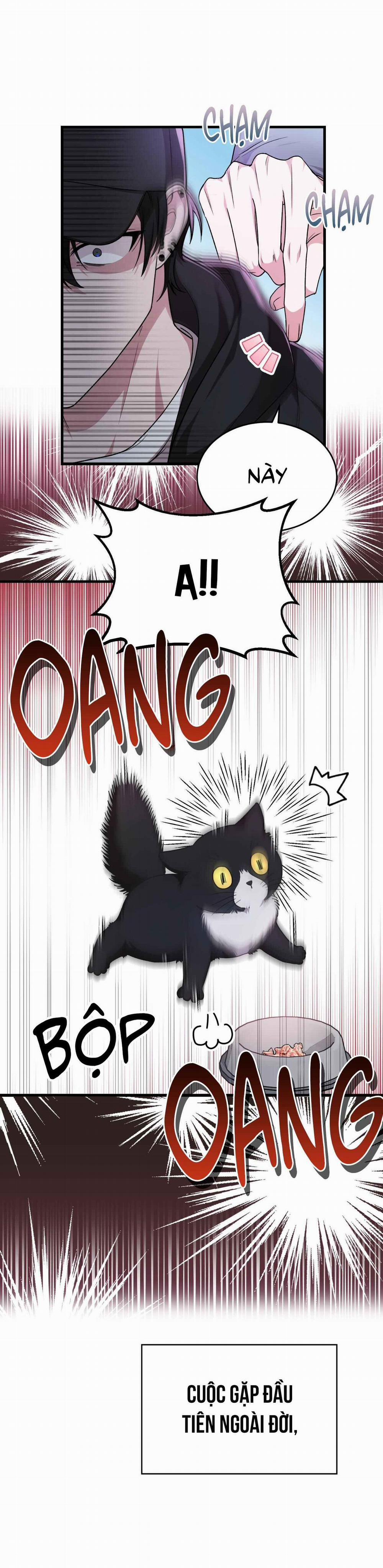 Guild Member 51.1 trang 4