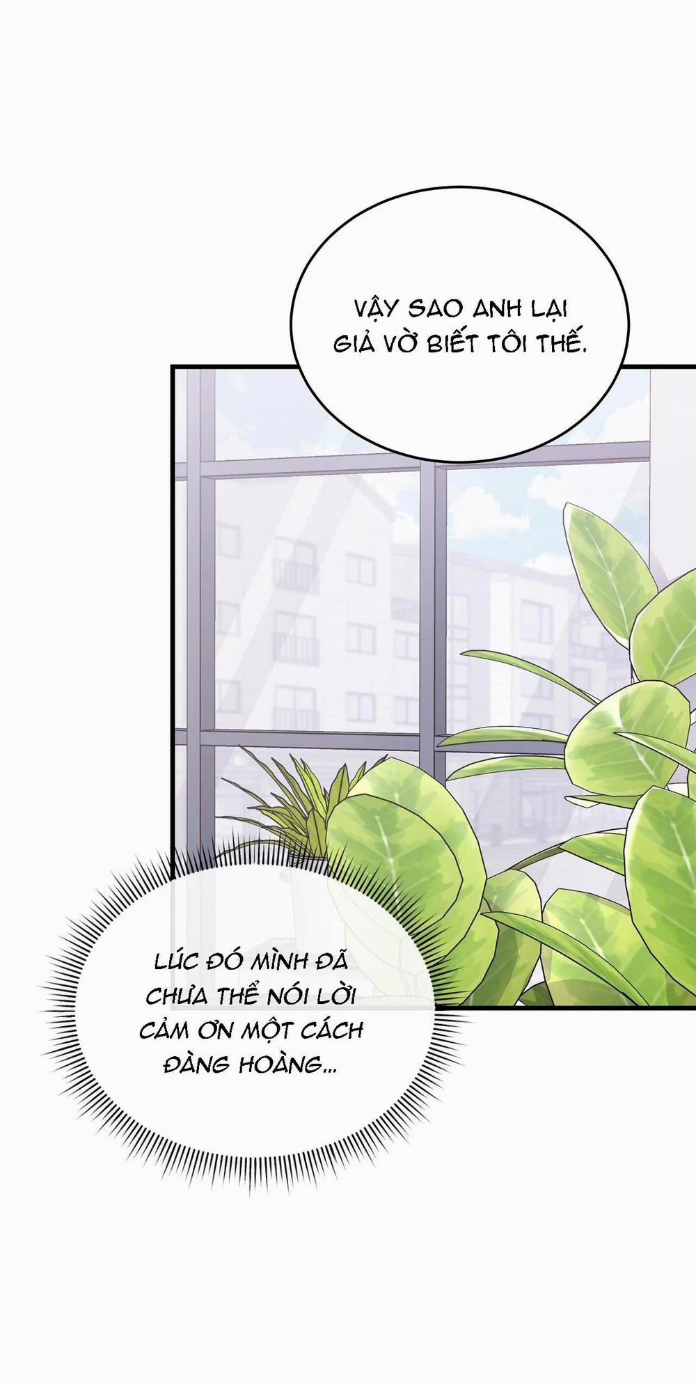 Guild Member 8 trang 6