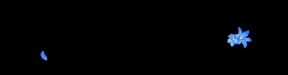 Hạ Cánh Cuối Chân Trời 16 trang 6