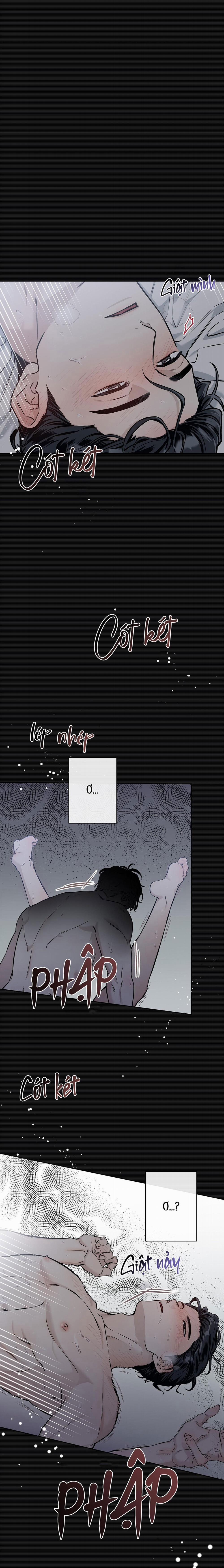 Hạ Cánh Nơi Miền Đất Xanh 1 trang 11