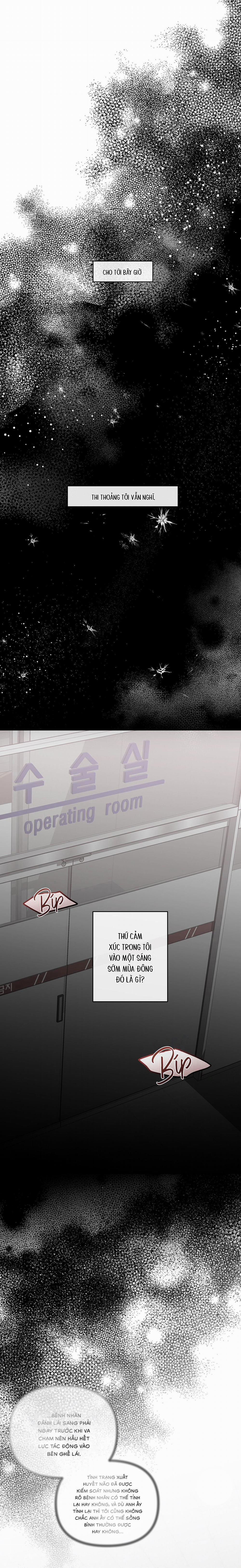 Hạ Cánh Nơi Miền Đất Xanh 5 trang 11