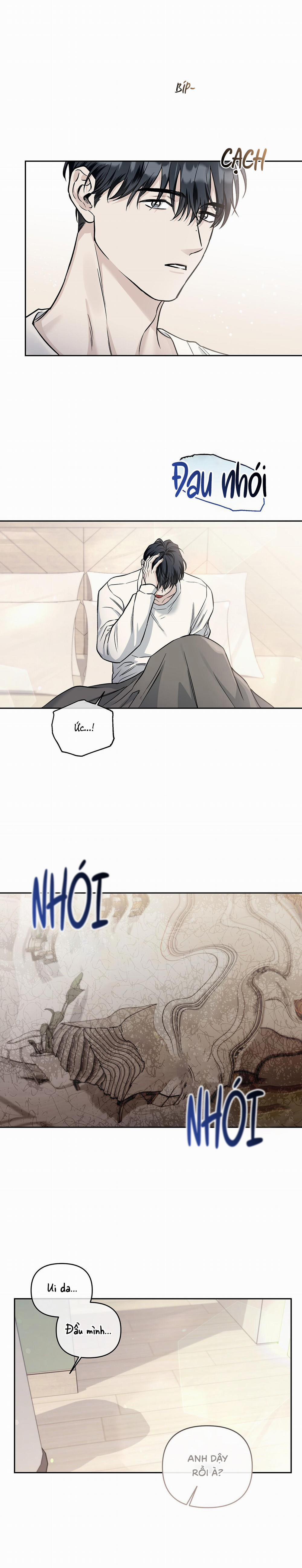 Hạ Cánh Nơi Miền Đất Xanh 8 trang 5