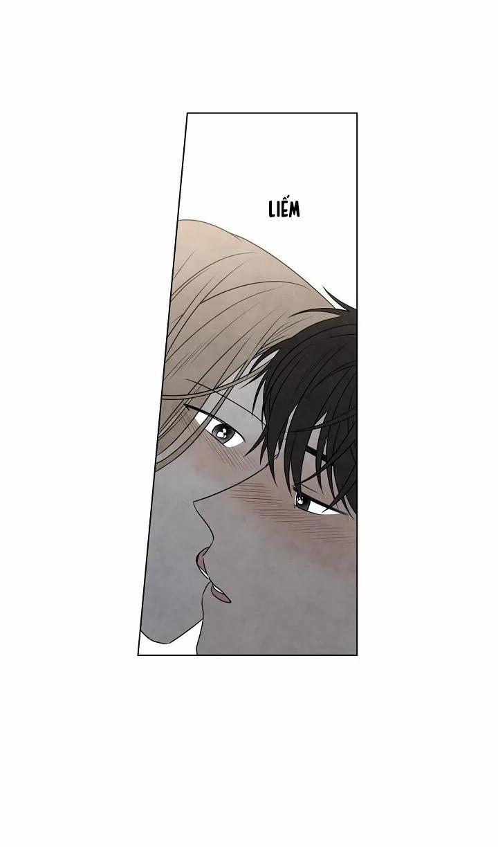 Hạ Chí 41.2 trang 20