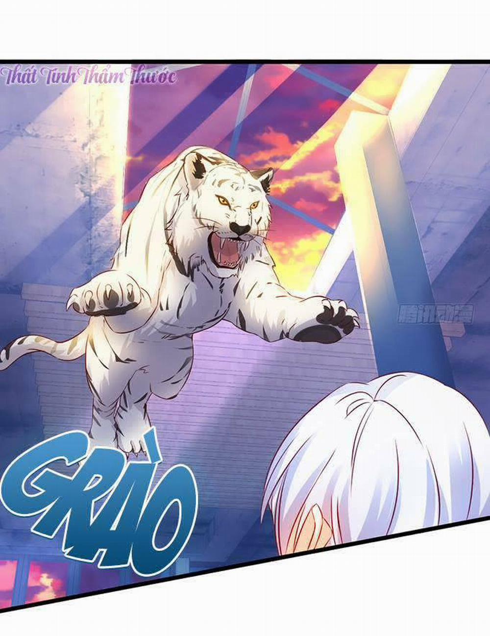 Hắc Đạo Đáng Yêu 13 trang 31