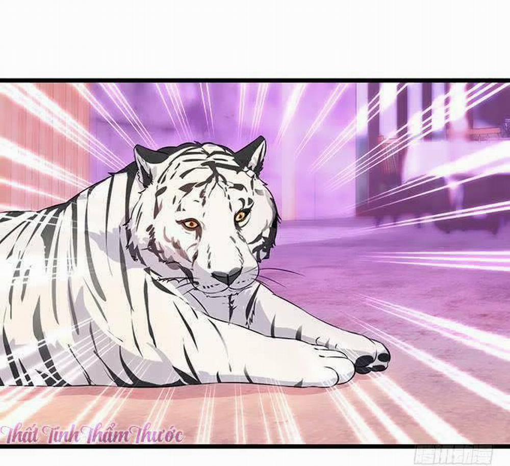 Hắc Đạo Đáng Yêu 13 trang 7