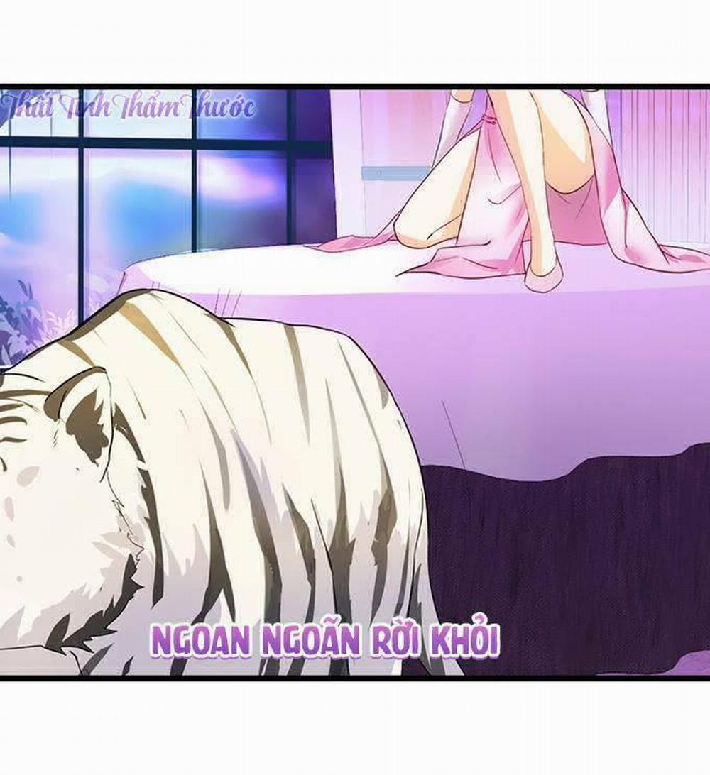 Hắc Đạo Đáng Yêu 14 trang 14