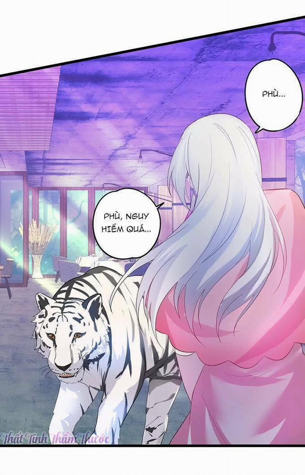 Hắc Đạo Đáng Yêu 14 trang 5