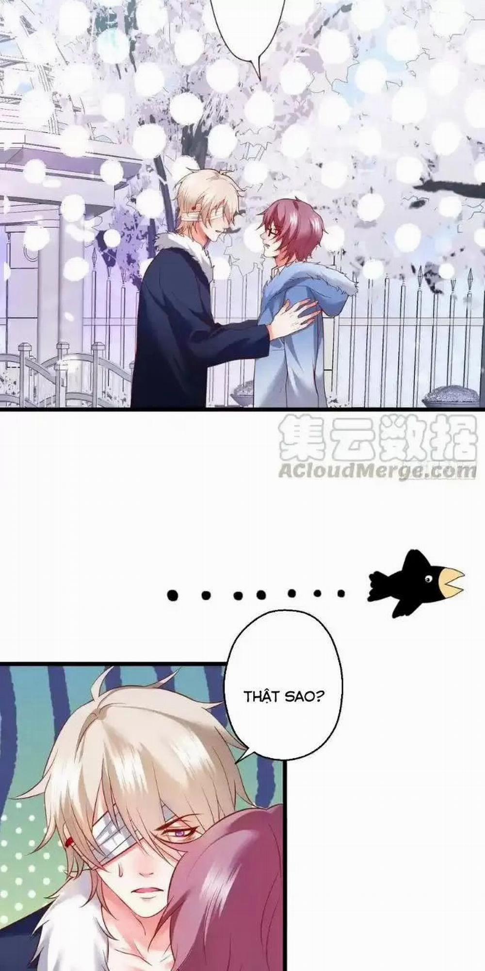 Hắc Đạo Đáng Yêu 167 trang 12