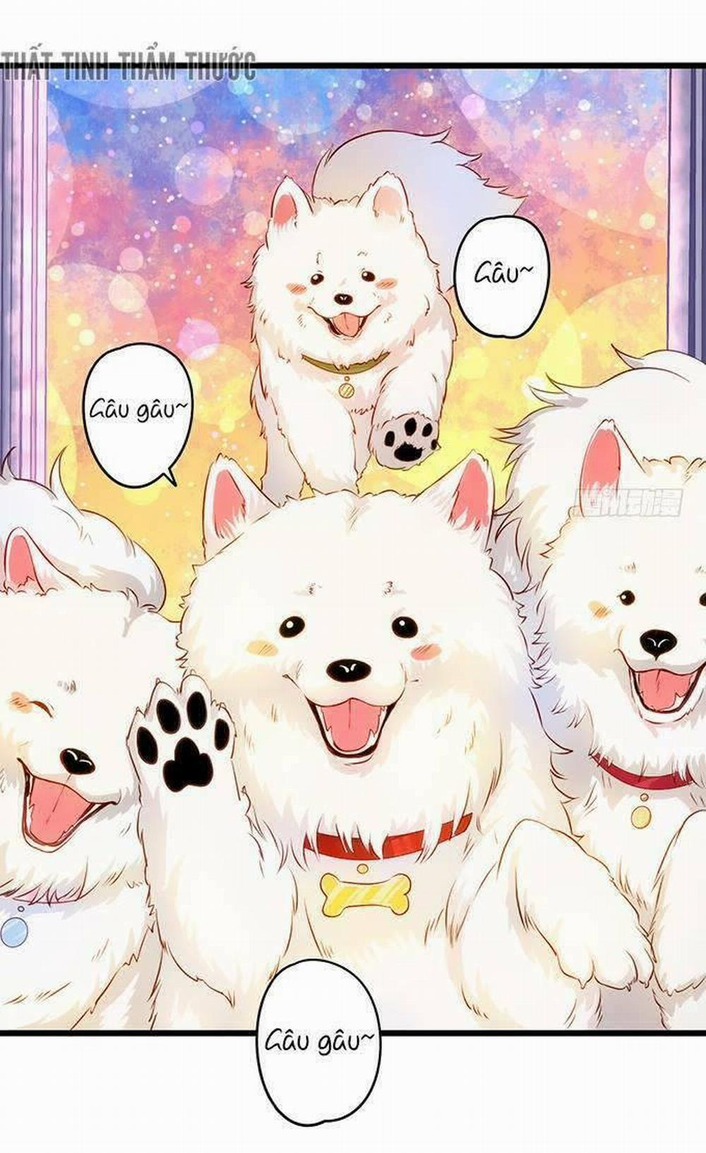 Hắc Đạo Đáng Yêu 17 trang 65