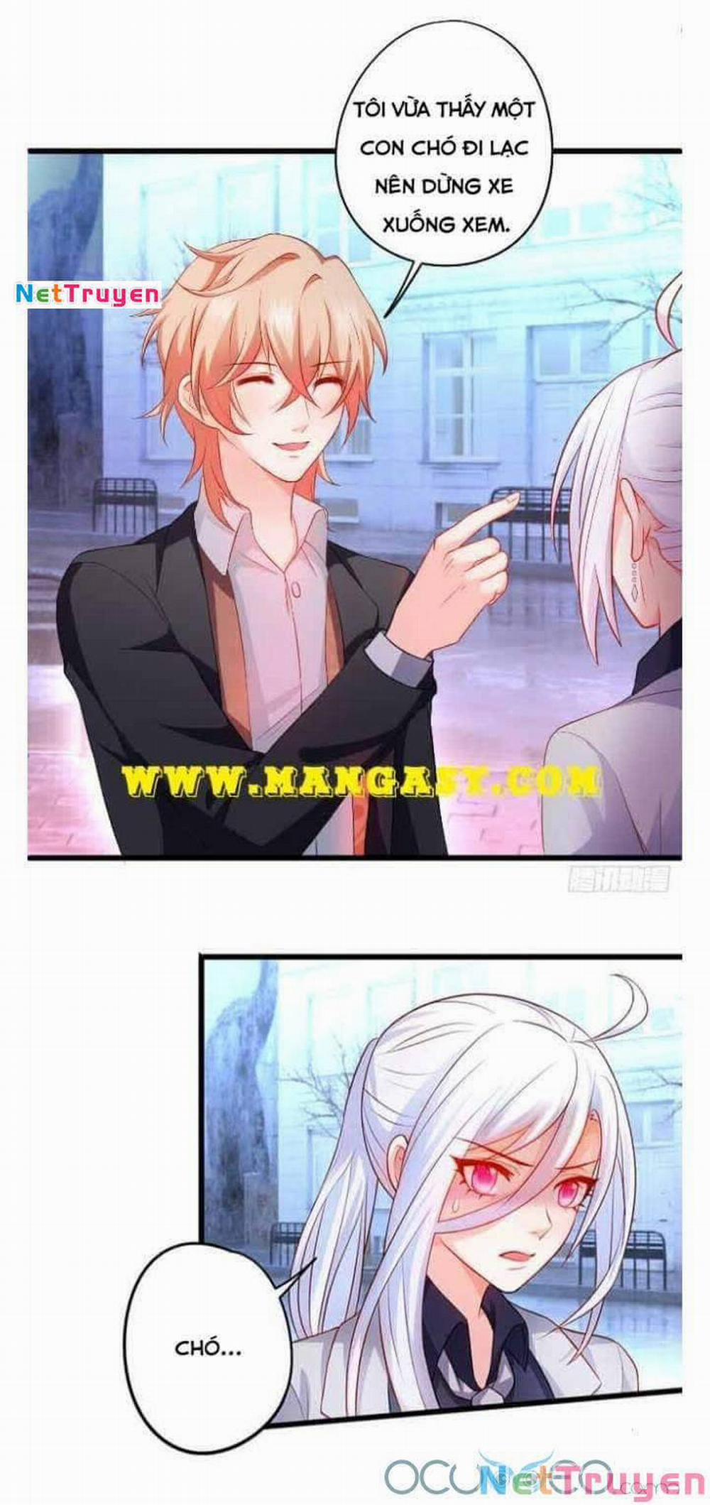 Hắc Đạo Đáng Yêu 50 trang 31