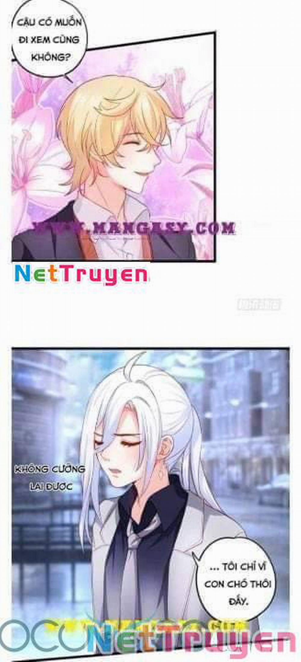 Hắc Đạo Đáng Yêu 50 trang 32