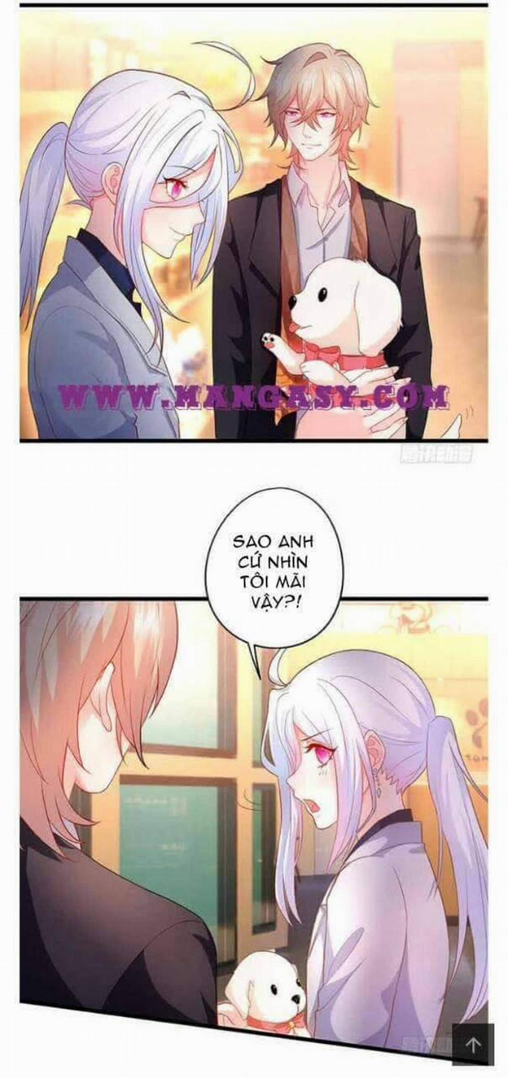 Hắc Đạo Đáng Yêu 51 trang 15