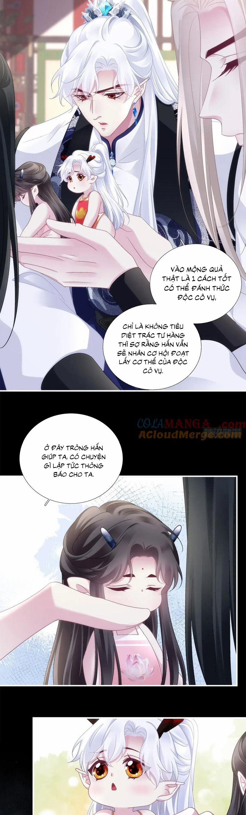 Hắc Hóa Đại Lão Thuần Dưỡng Chỉ Nam 169 trang 6