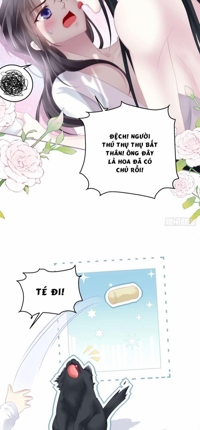 Hắc Hóa Đại Lão Thuần Dưỡng Chỉ Nam 66 trang 12