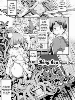 Đọc truyện tranh Hachi no Ue no Flower