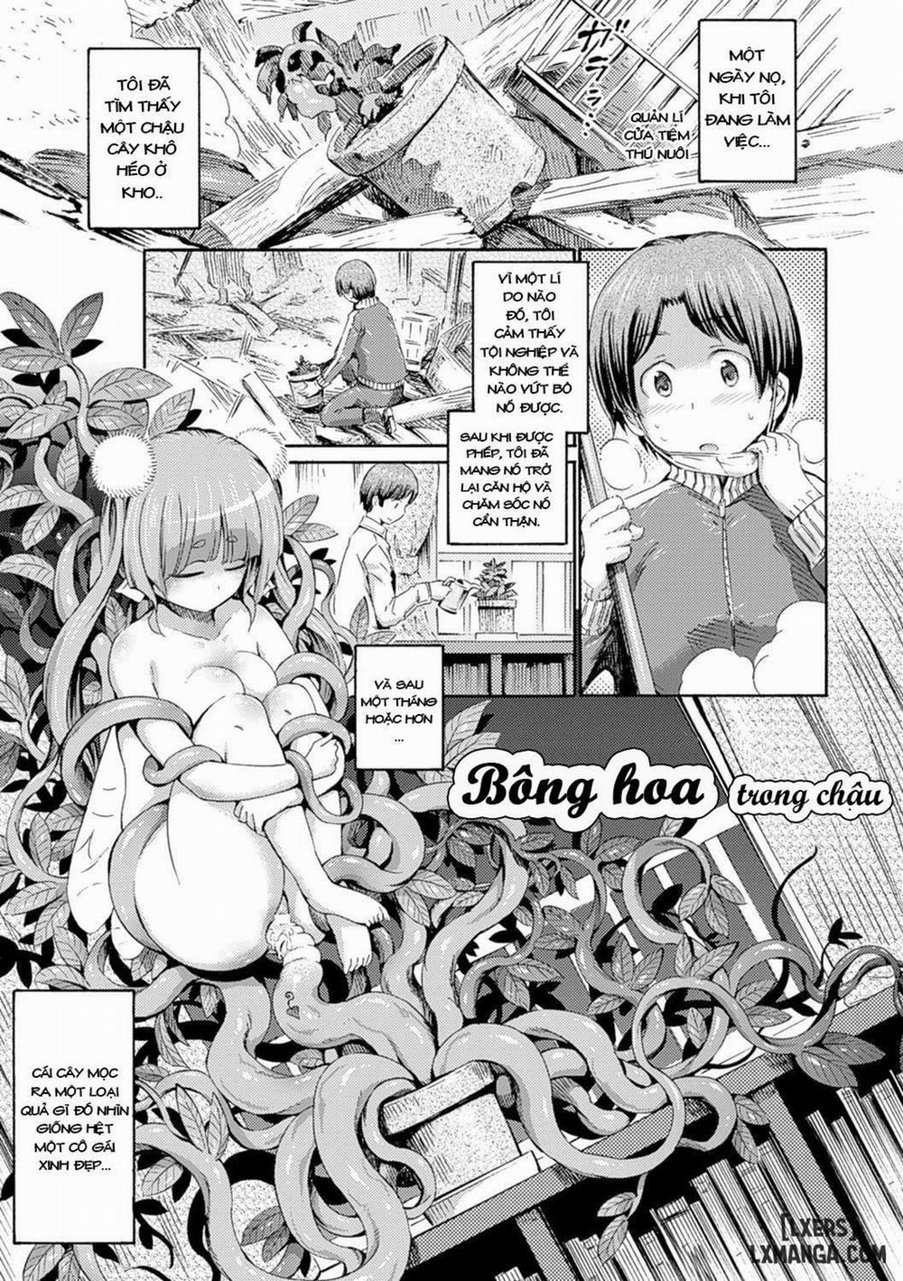 Hachi no Ue no Flower Oneshot trang 0