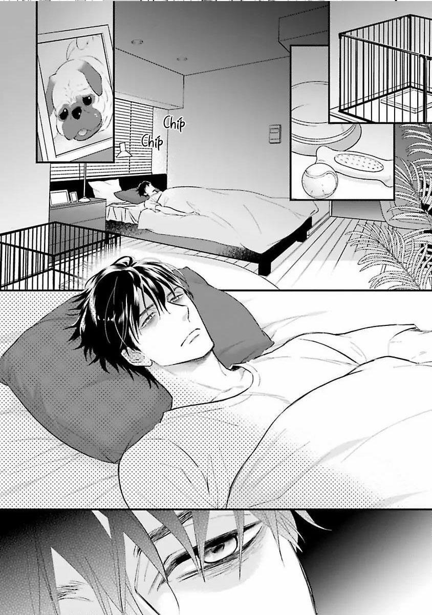 Hai chàng độc thân nóng bỏng 1 trang 17