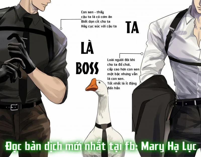 Hài Đam Mỹ 20 trang 0