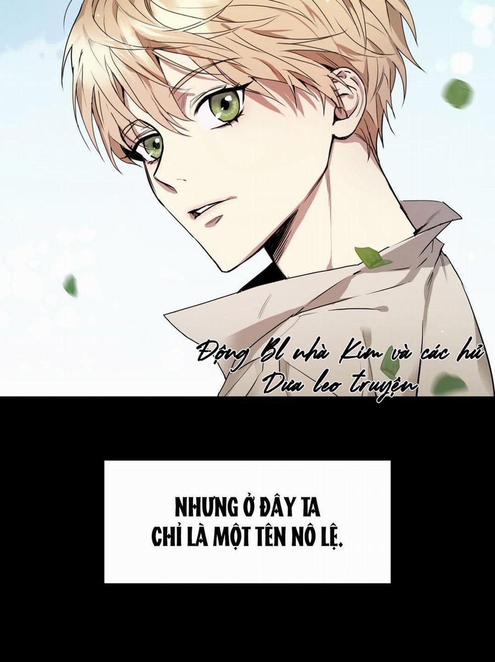 Hai Đất Nước, Đất Nước Của Nô Lệ 0 trang 11