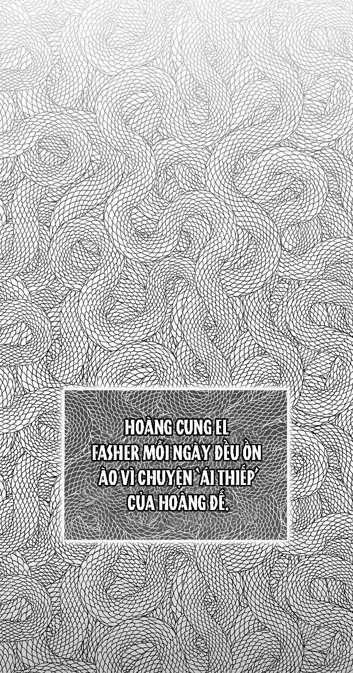 Hai Đất Nước, Đất Nước Của Nô Lệ 20 trang 9