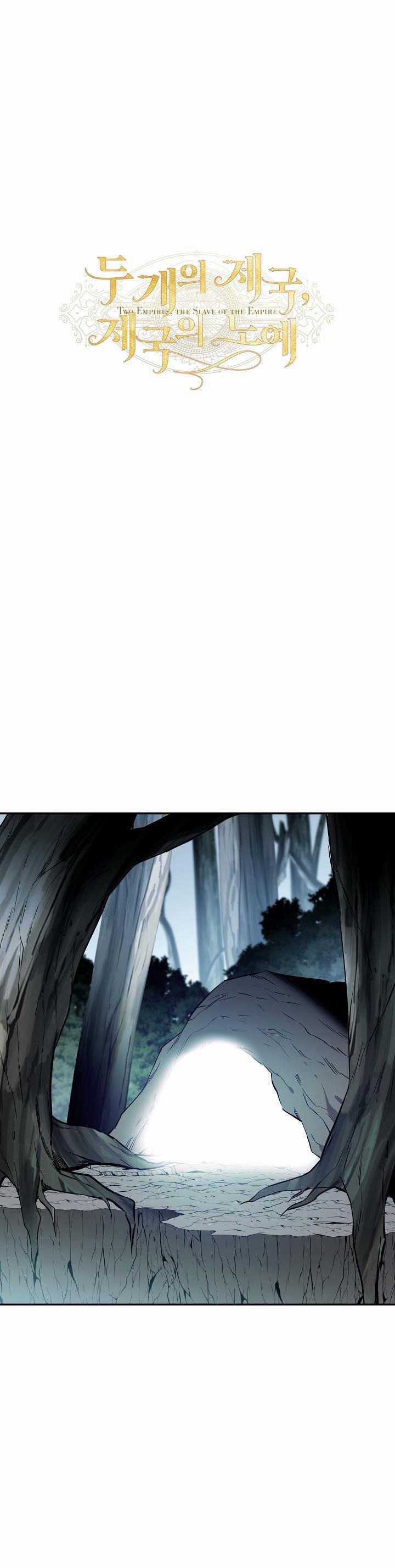 Hai Đất Nước, Đất Nước Của Nô Lệ 24 trang 0