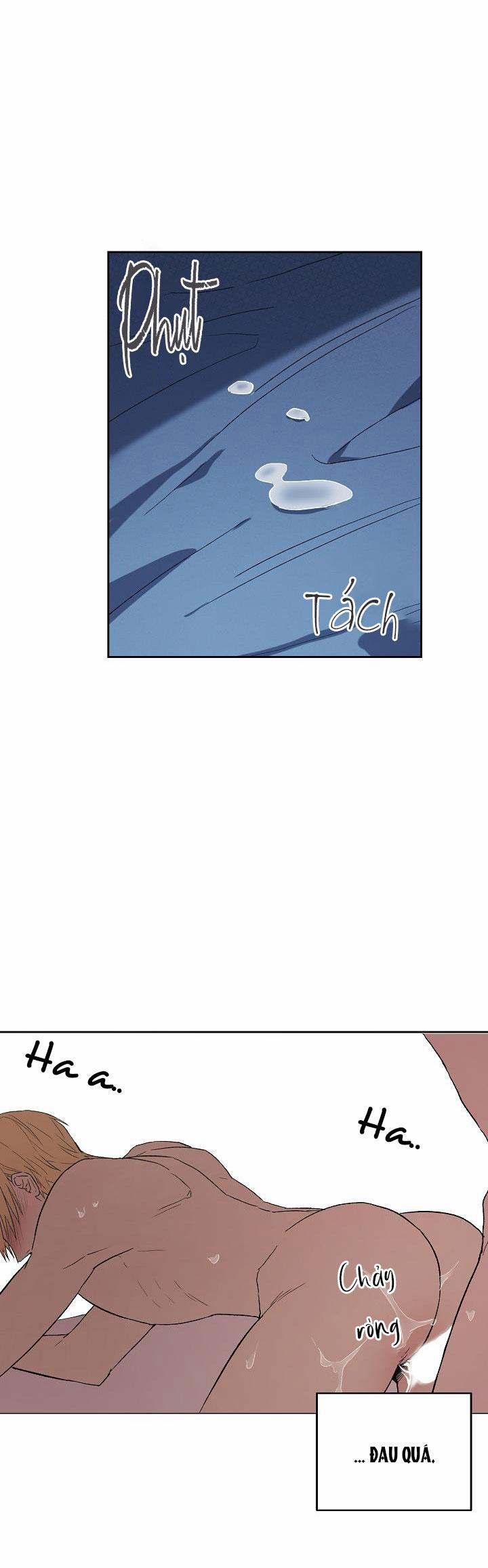 Hai Đất Nước, Đất Nước Của Nô Lệ 6 trang 37