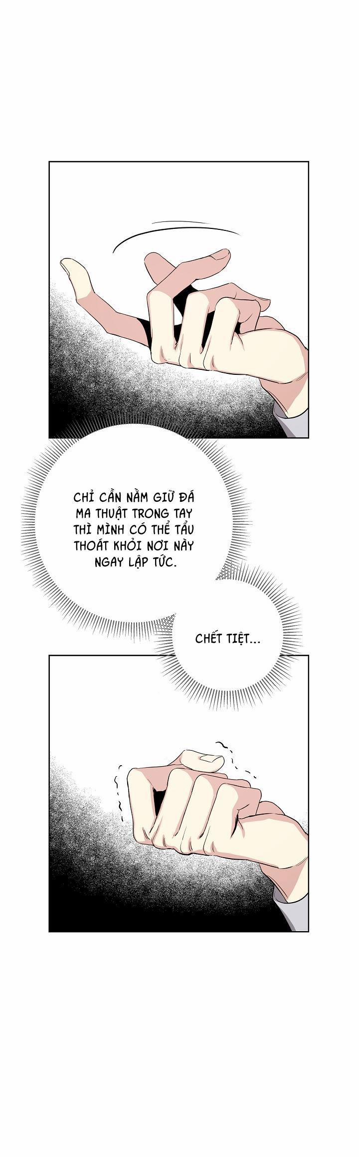 Hai Đất Nước, Đất Nước Của Nô Lệ 8 trang 13