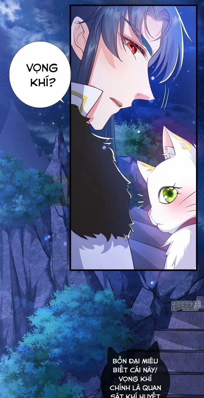 Hài Đế Vi Tôn 9 trang 4