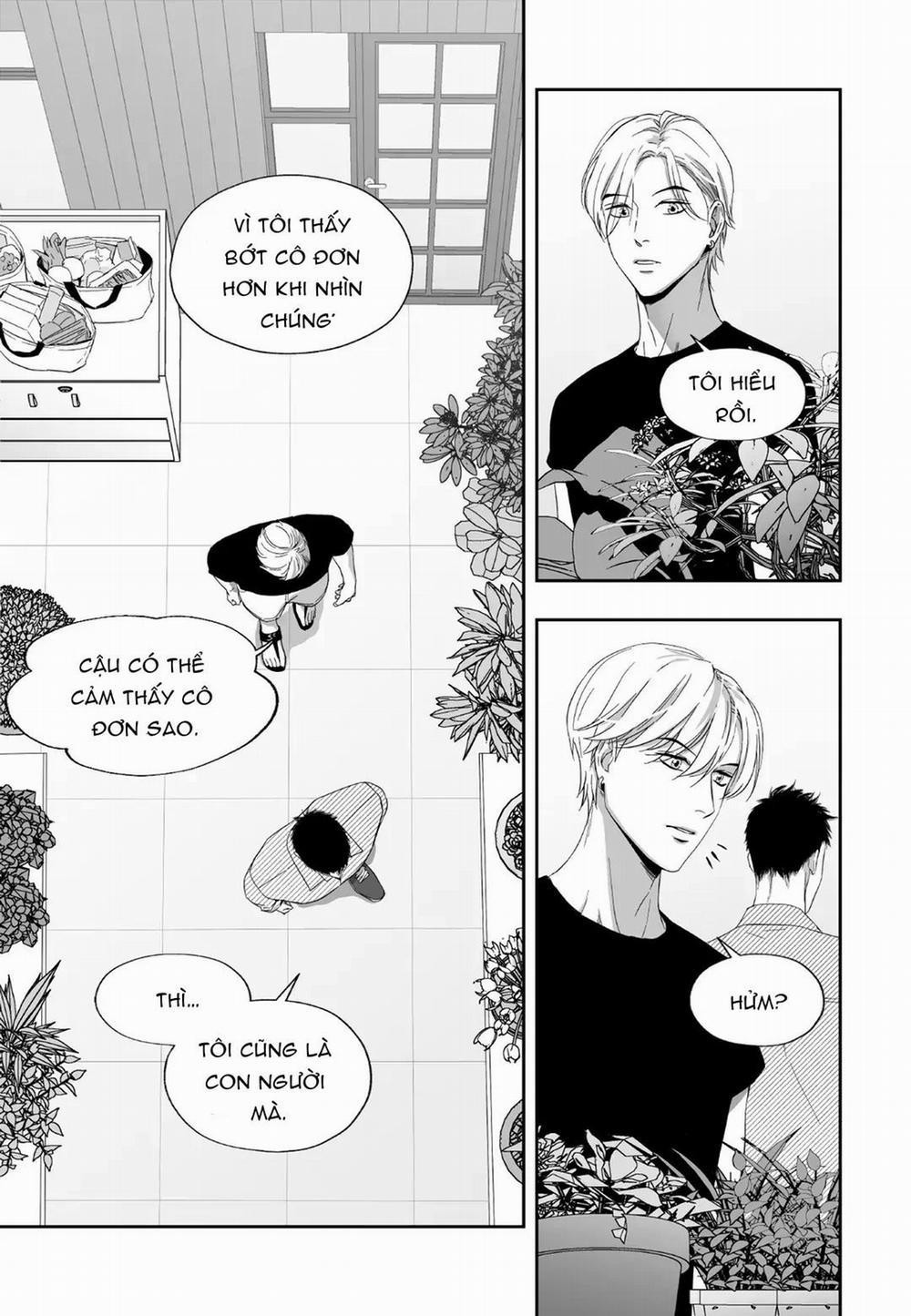 Hai Đôi Tay Sinh Động 12 trang 13