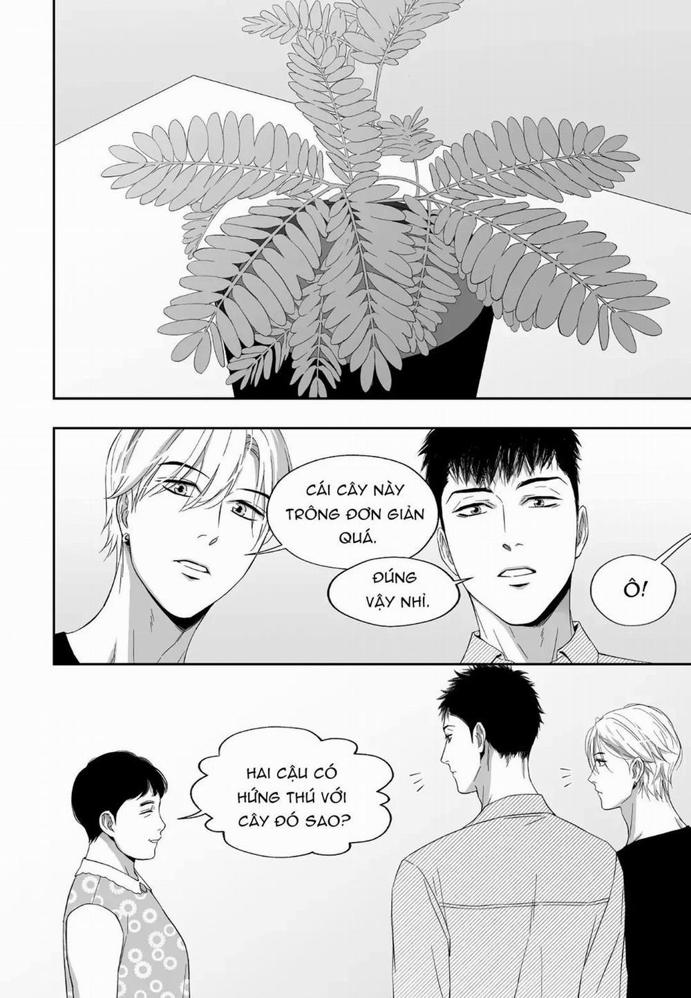 Hai Đôi Tay Sinh Động 12 trang 14