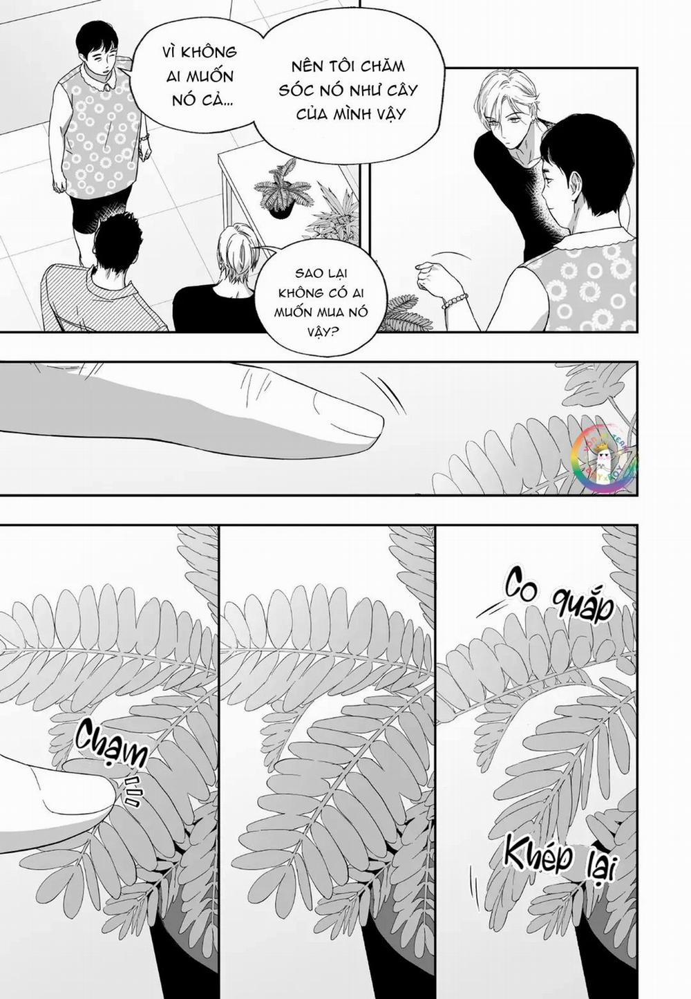 Hai Đôi Tay Sinh Động 12 trang 15