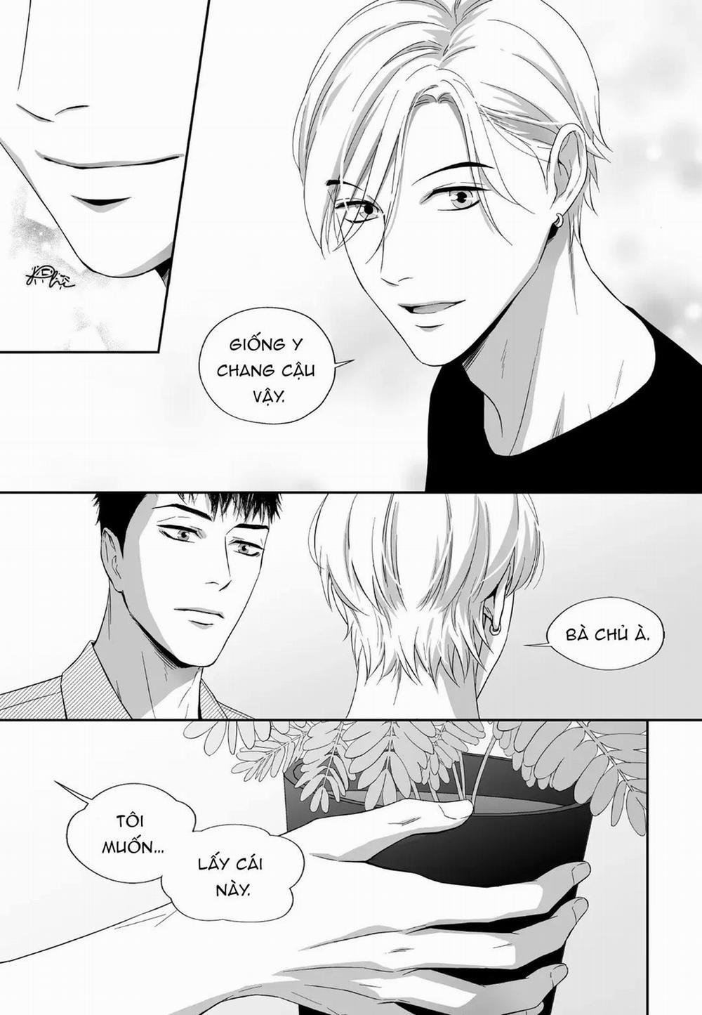 Hai Đôi Tay Sinh Động 12 trang 17