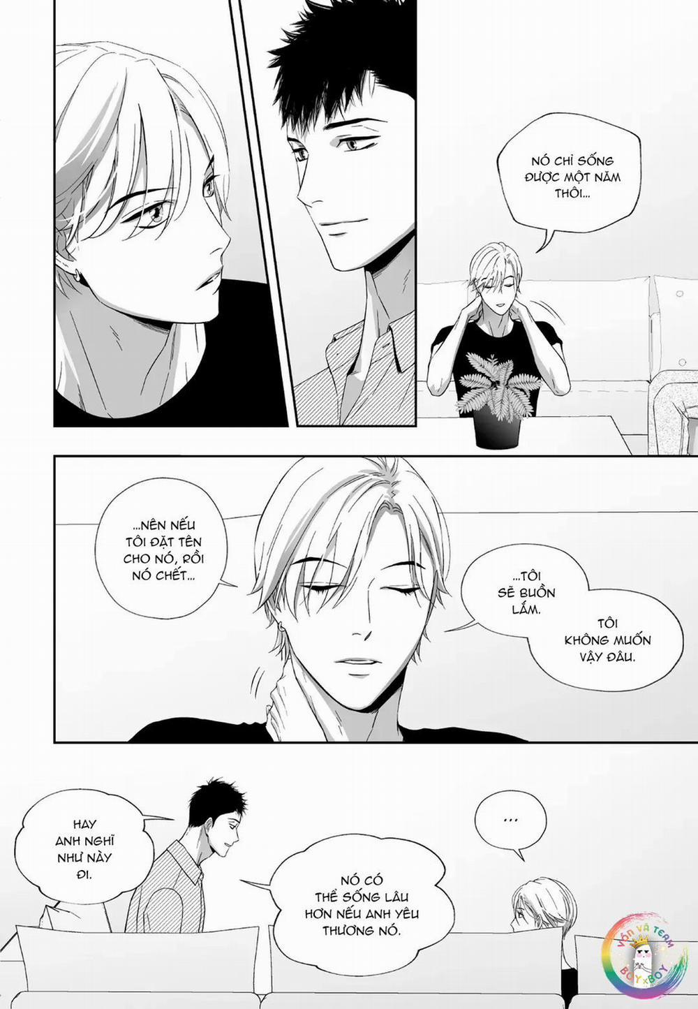 Hai Đôi Tay Sinh Động 13 trang 4