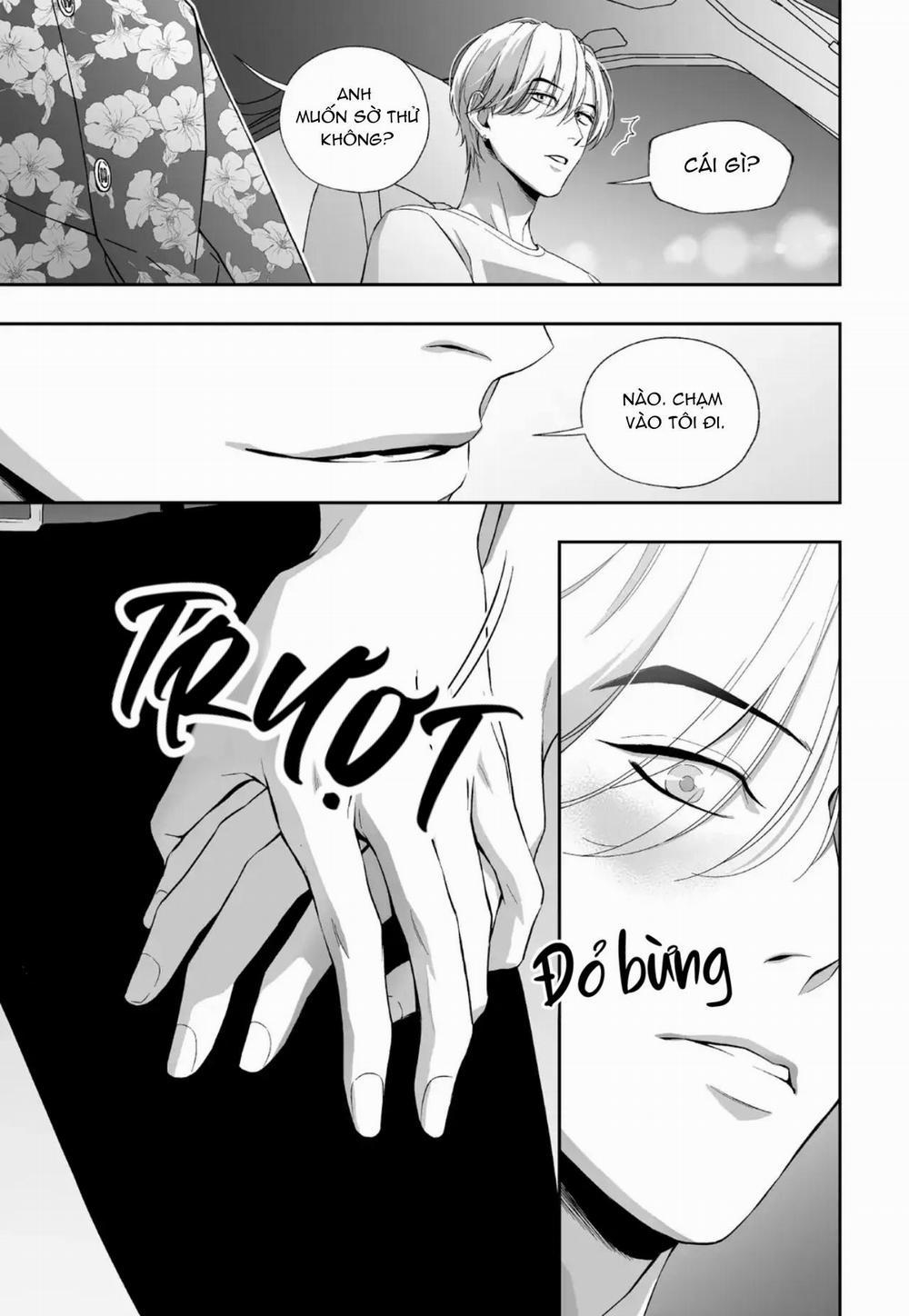 Hai Đôi Tay Sinh Động 2 trang 11