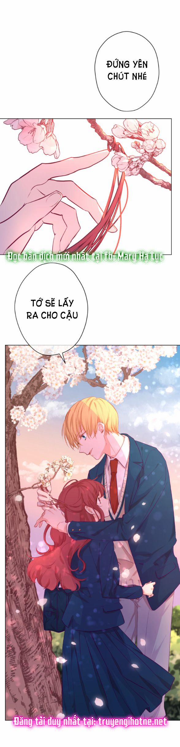 Hai Ngôi Sao Sáng Nhất 11.1 trang 19