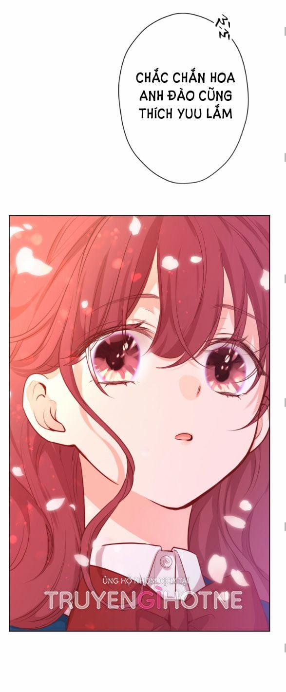 Hai Ngôi Sao Sáng Nhất 11.1 trang 24