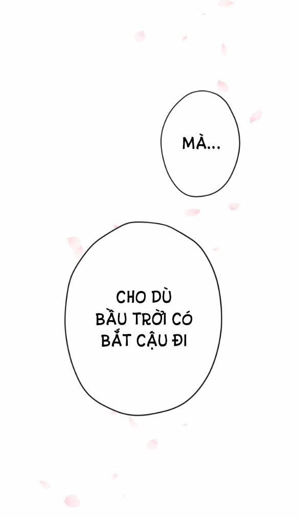 Hai Ngôi Sao Sáng Nhất 11.2 trang 15