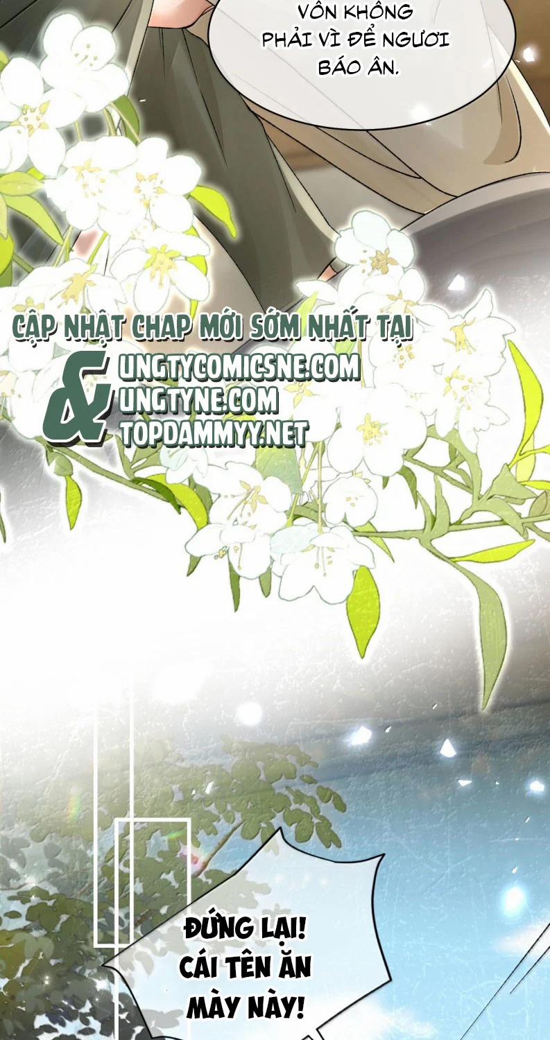 Hải Vương Sau Khi Hoàn Lương Sa Vào Tu La Tràng 31 trang 29