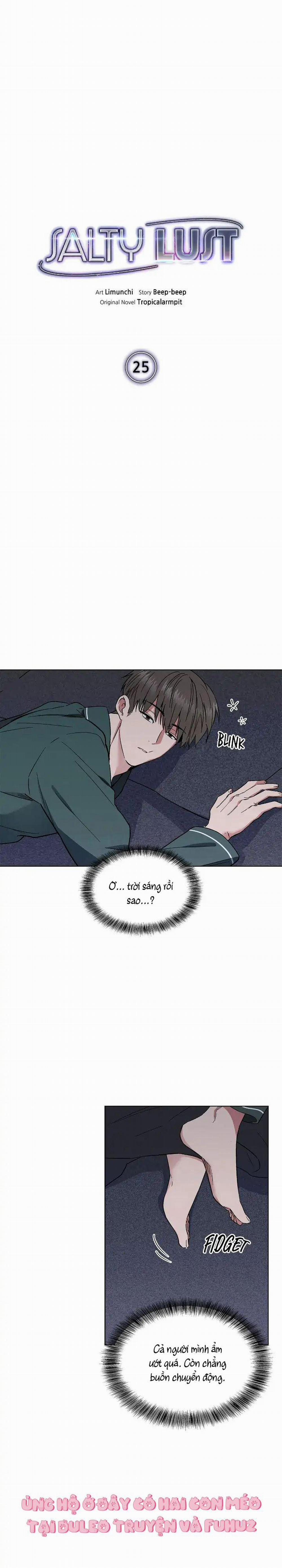 Ham Muốn Mạnh Mẽ 25 trang 0