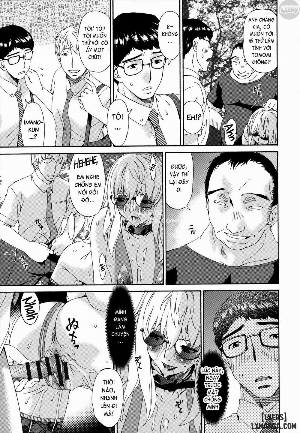 Hametorare 11 trang 13