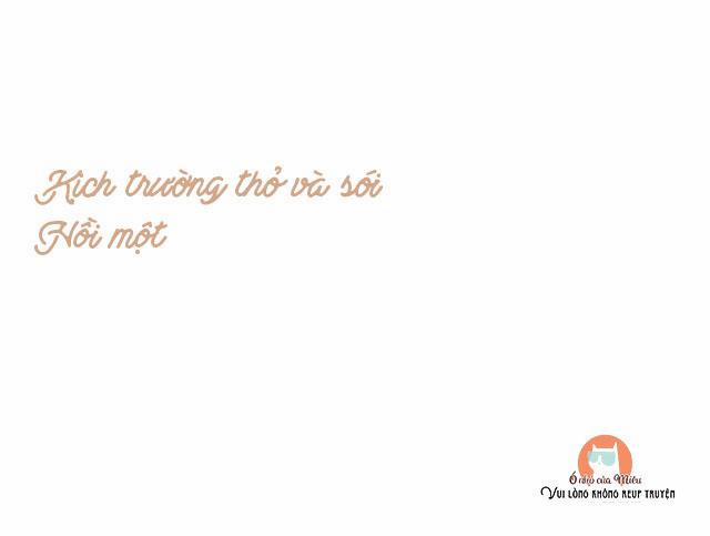 Hàn Mạch Tựa Quang 10 trang 0