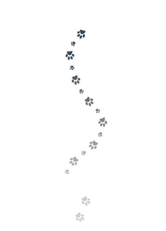 Hàn Mạch Tựa Quang 11 trang 32