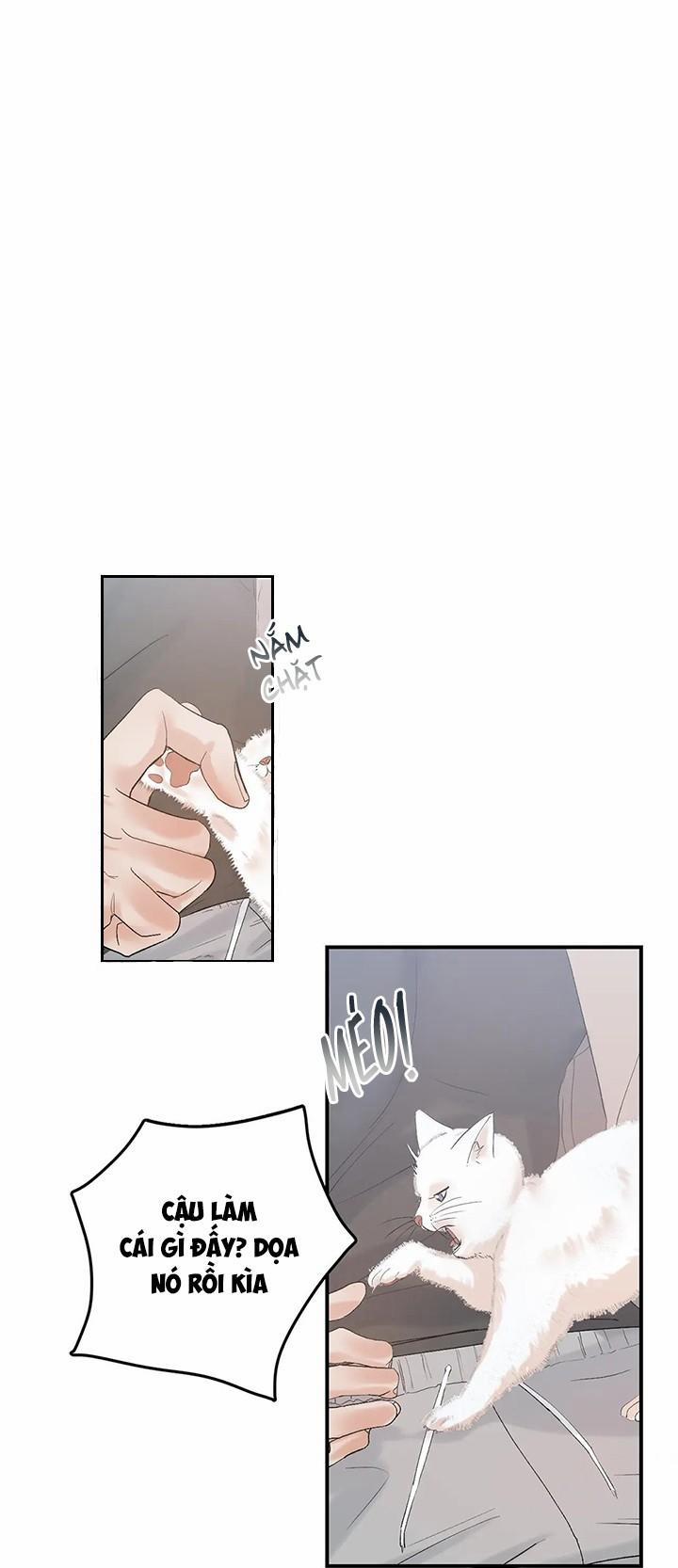 Hàn Mạch Tựa Quang 21 trang 1