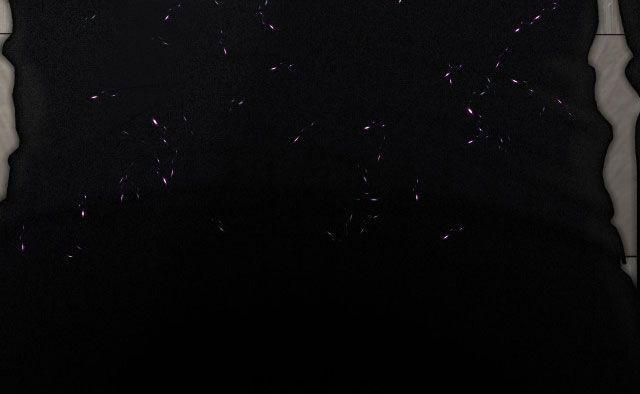 Hàn Mạch Tựa Quang 6.1 trang 29