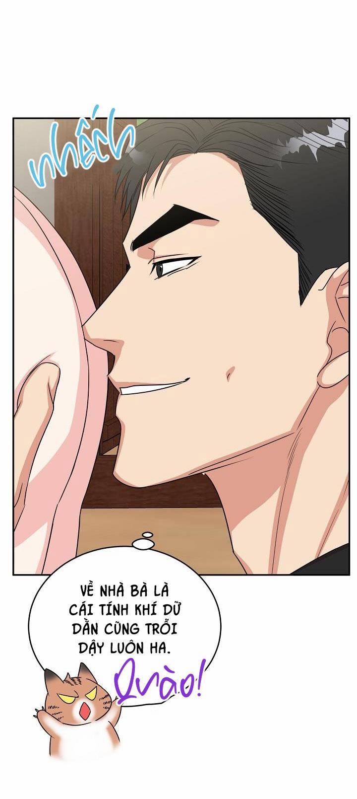 Hang Hổ 21 trang 29