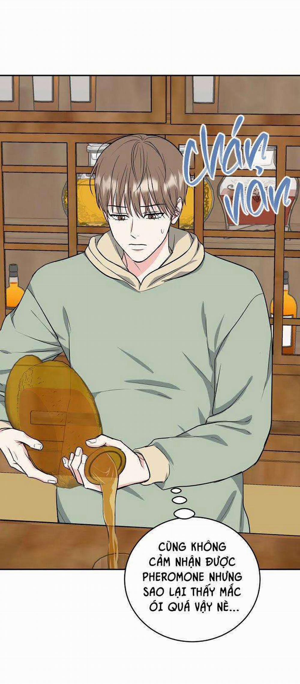 Hang Hổ 41 trang 20