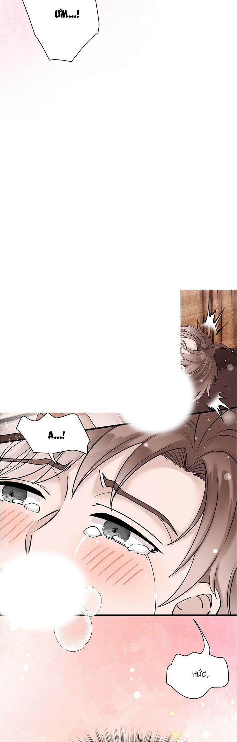 Hàng Không Bán 33 trang 21