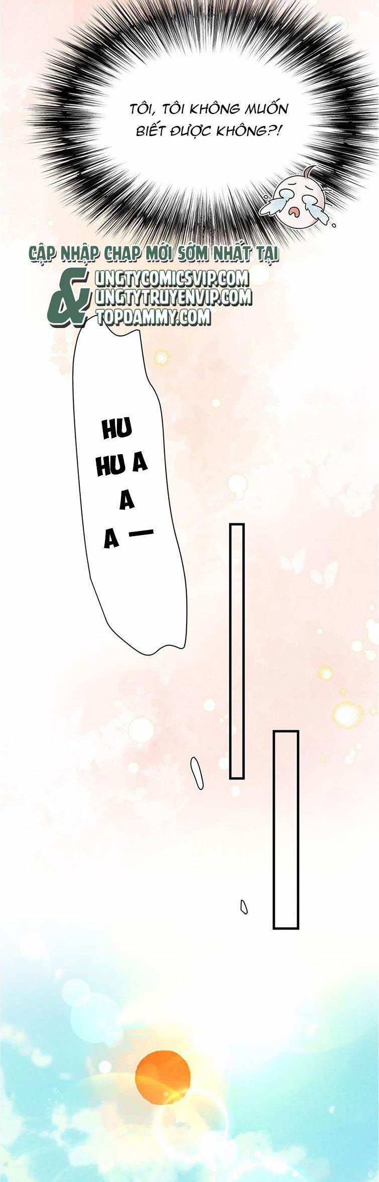 Hàng Không Bán 33 trang 22