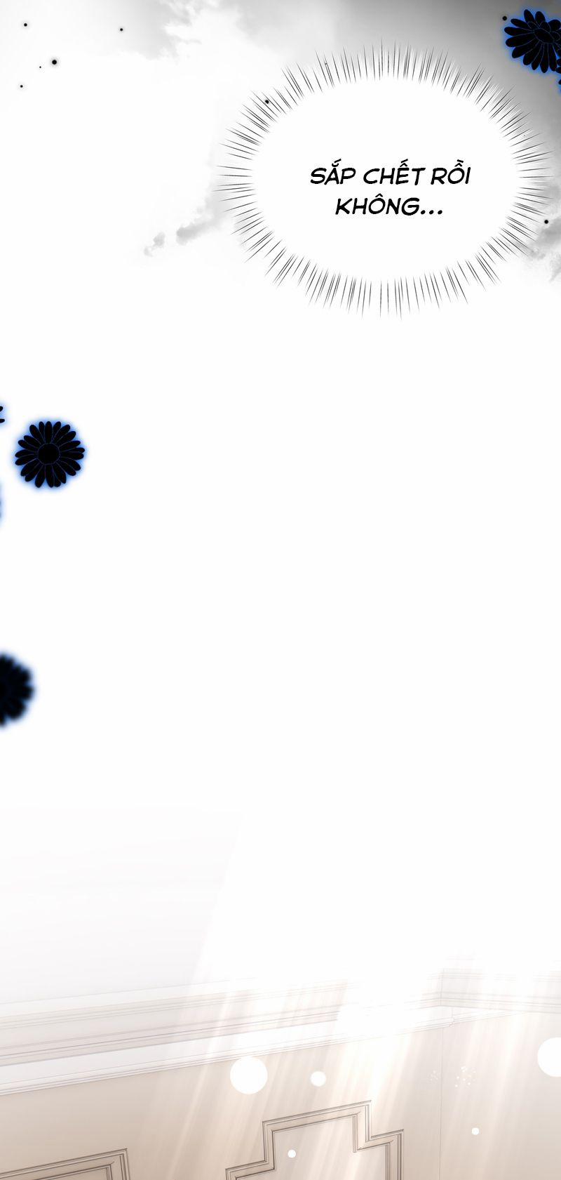 Hàng Không Bán 43 trang 8